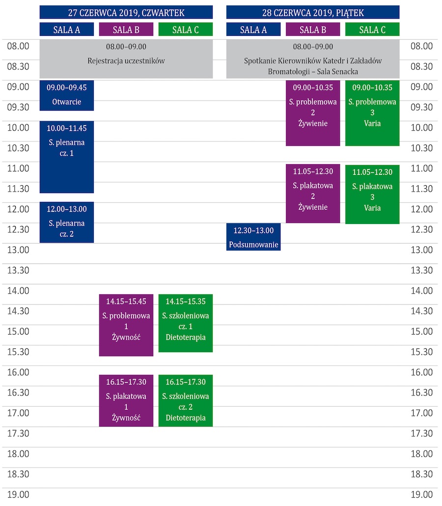 program ramowy